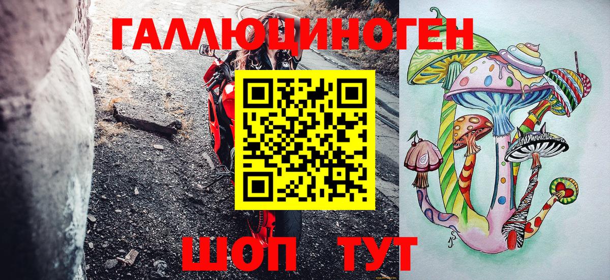 Димитровград  Галлюциногенные грибы мицелий  Галлюциногенные грибы Psilocybe  Вход с VPN 